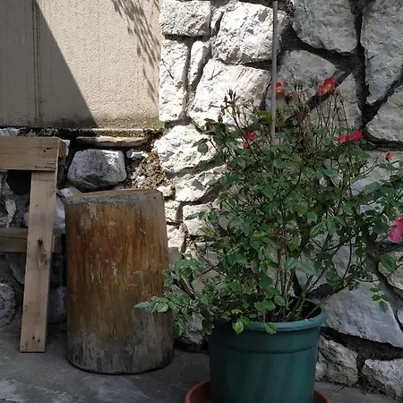 アパート Appartamento San Lucano アゴルド