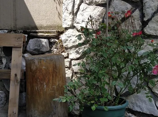 Appartement Appartamento San Lucano Agordo